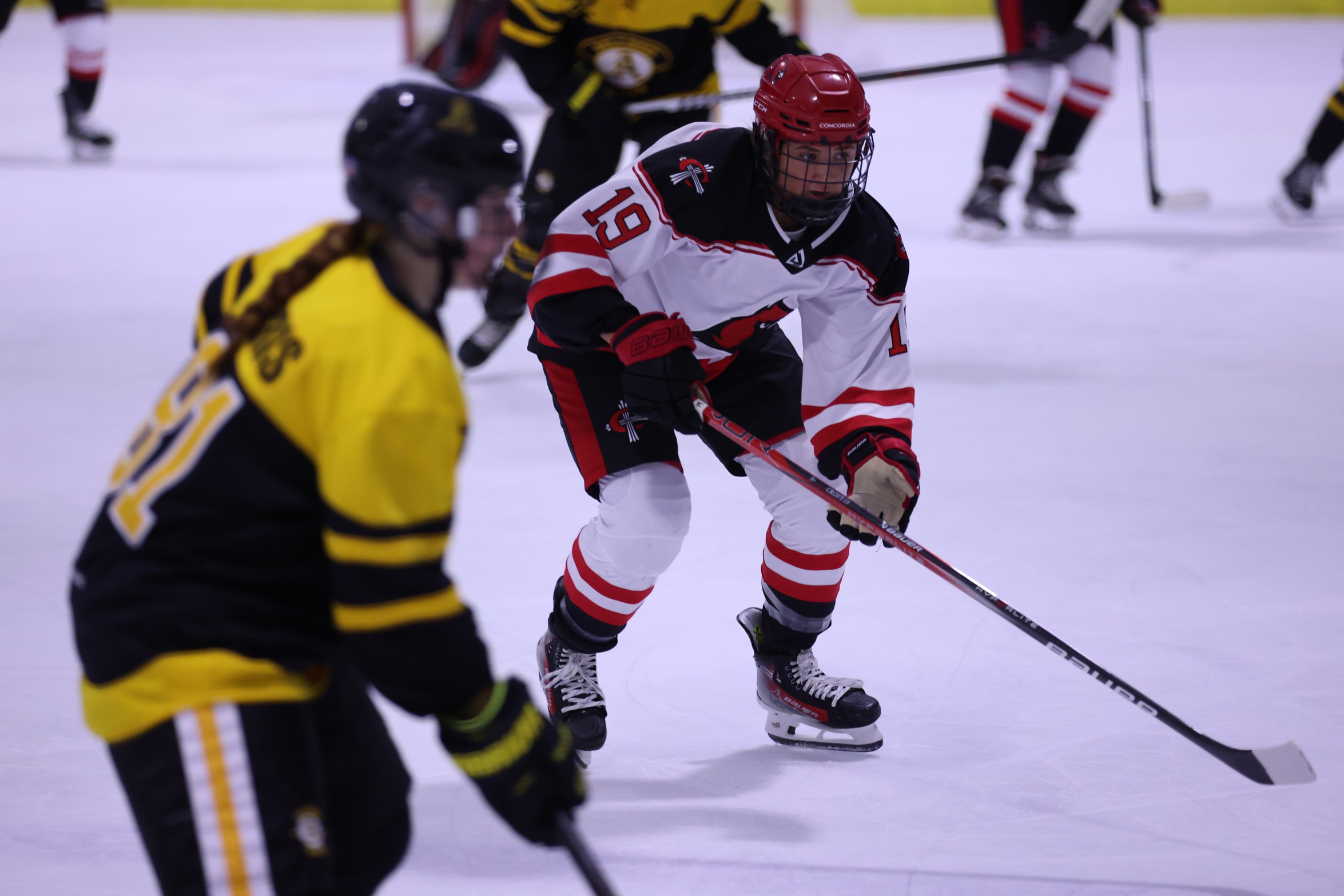 Late goal gives Michigan State the edge over Women's Hockey