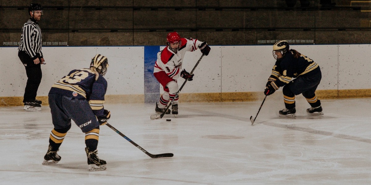 Cardinals drop series to UM-Dearborn