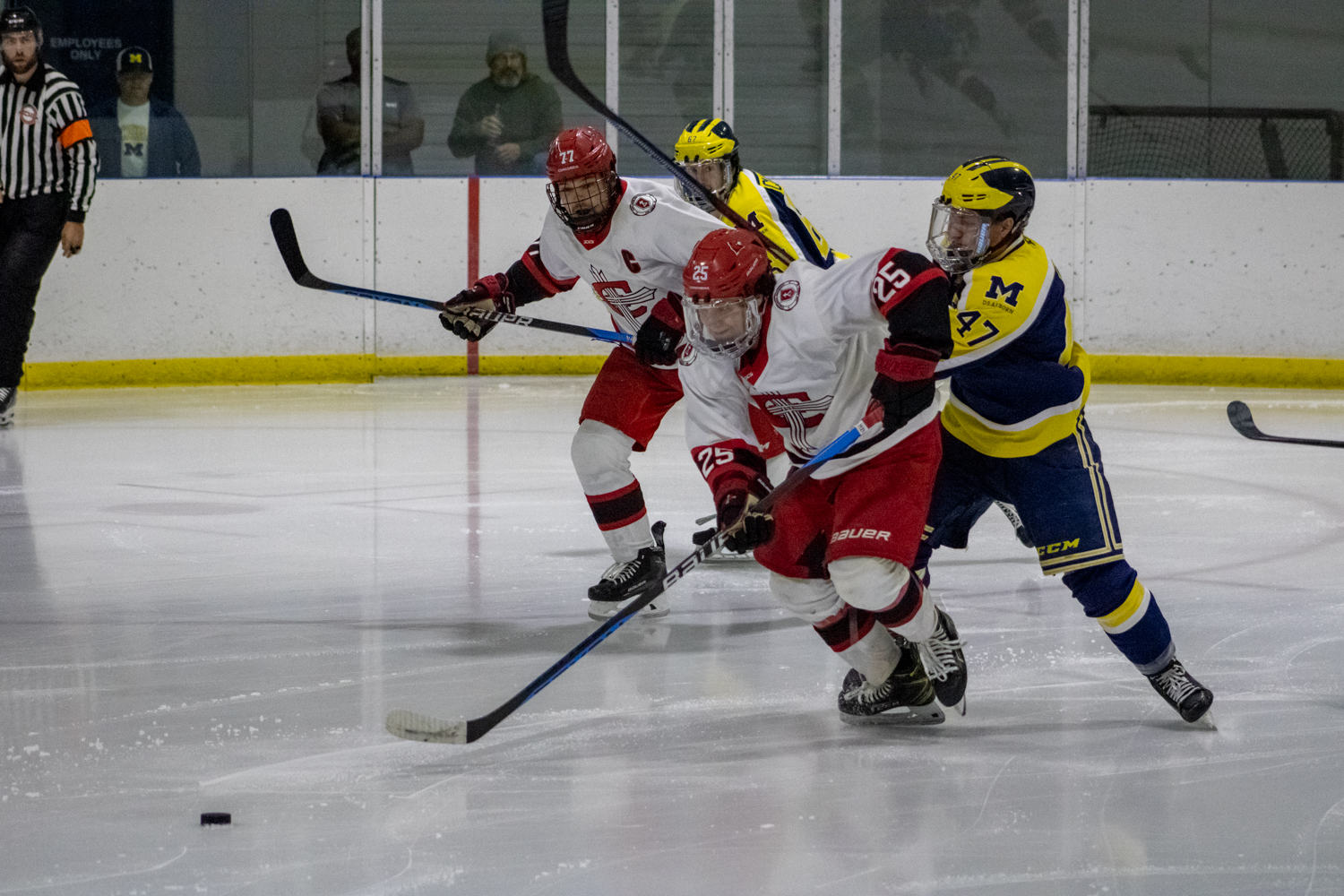 Men's Hockey's comeback stifled by last minute Aquinas goal
