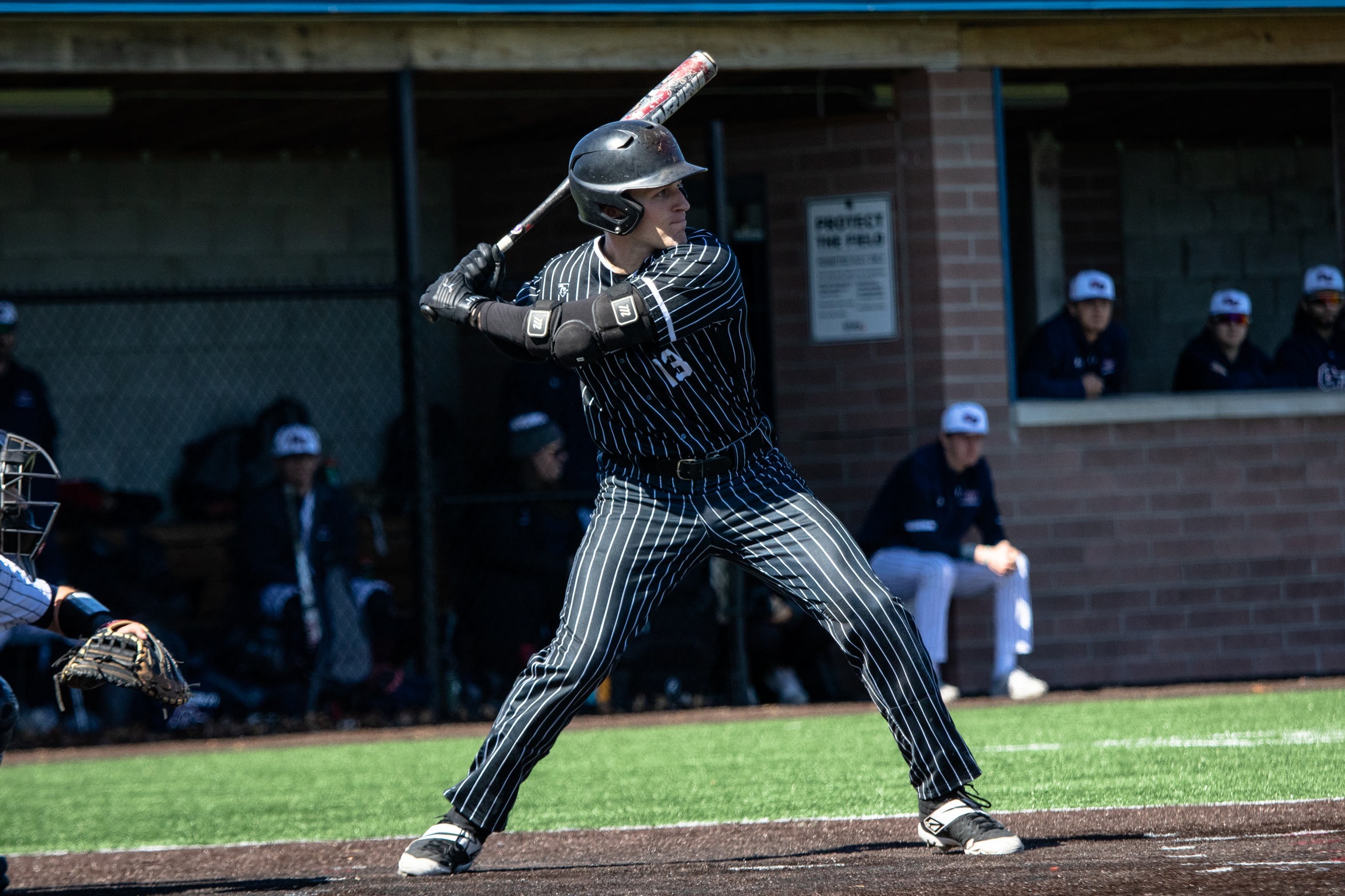 Baseball splits Sunday series with the Gray Wolves