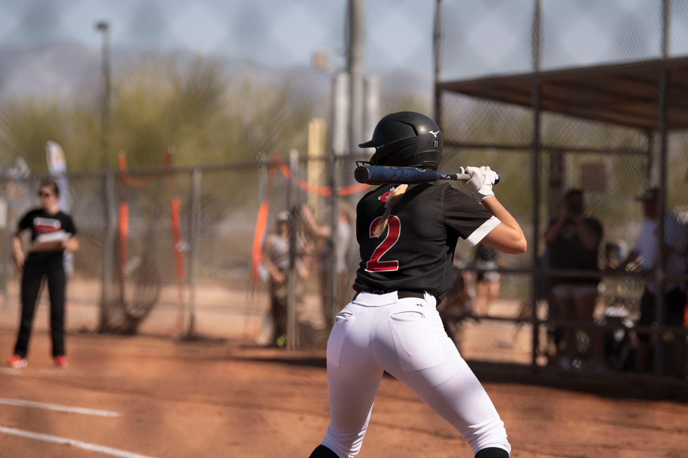 Softball splits with LTU