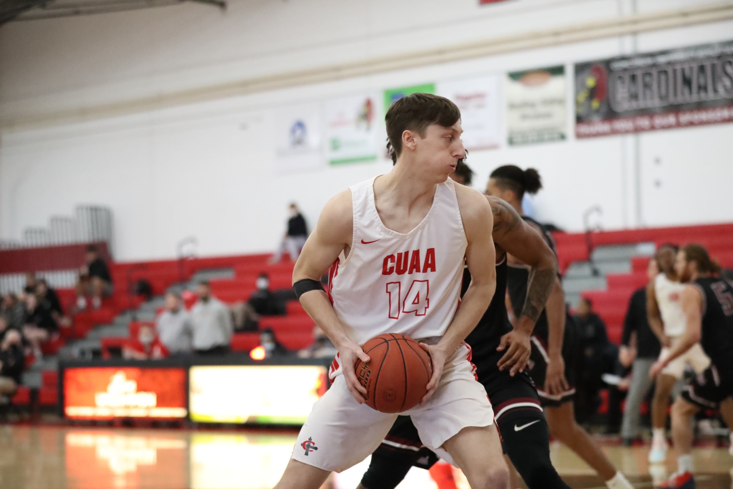 Men's Basketball falls at home against Rochester