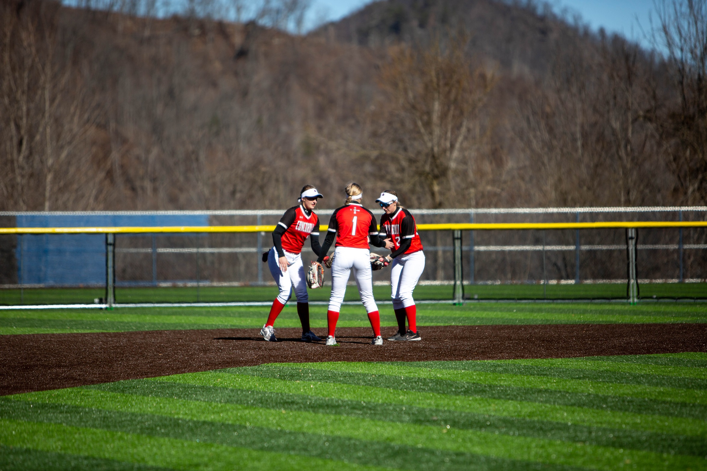 Softball drops two of three to Brescia
