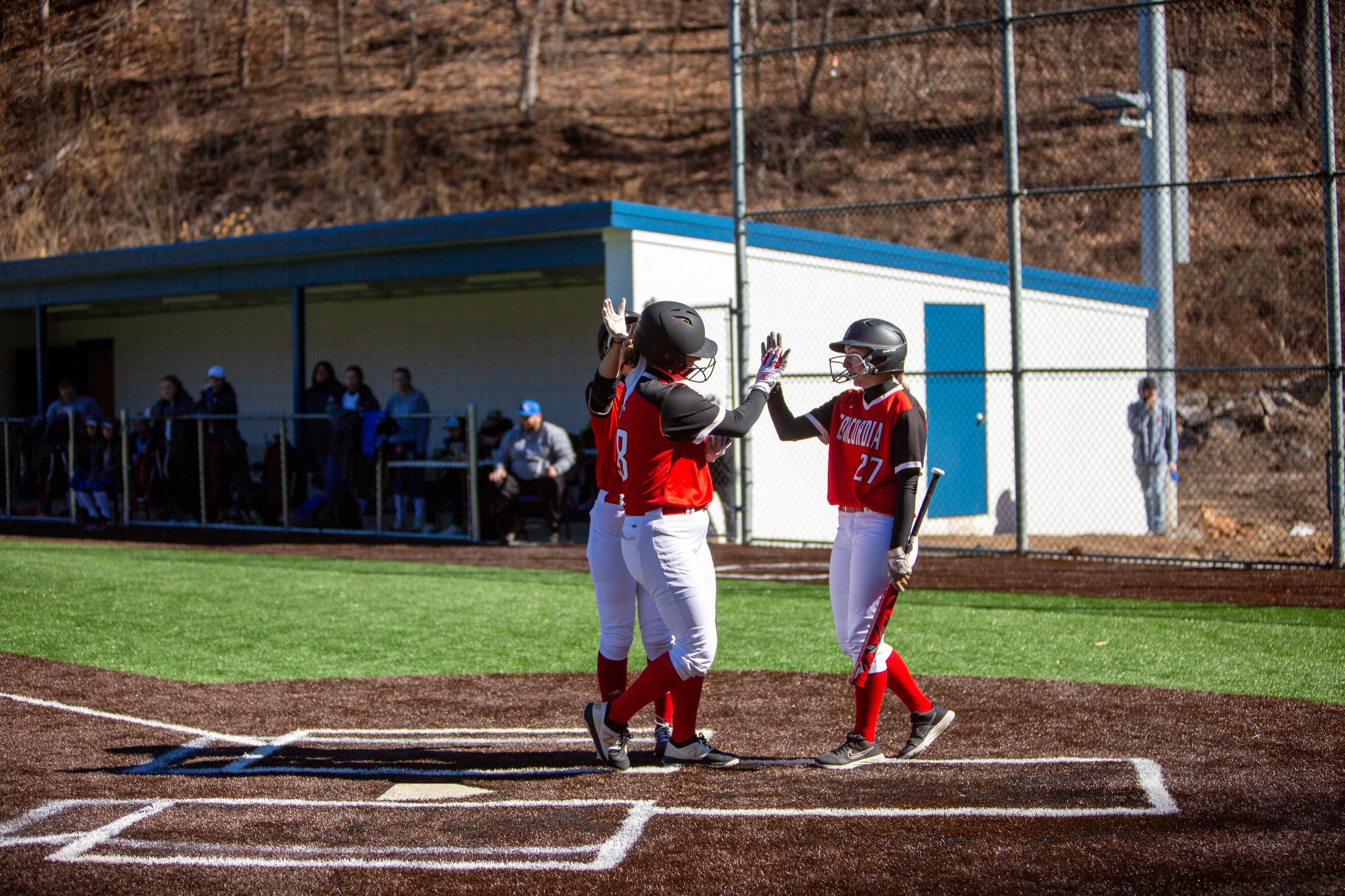 Softball drops both games at home to Madonna