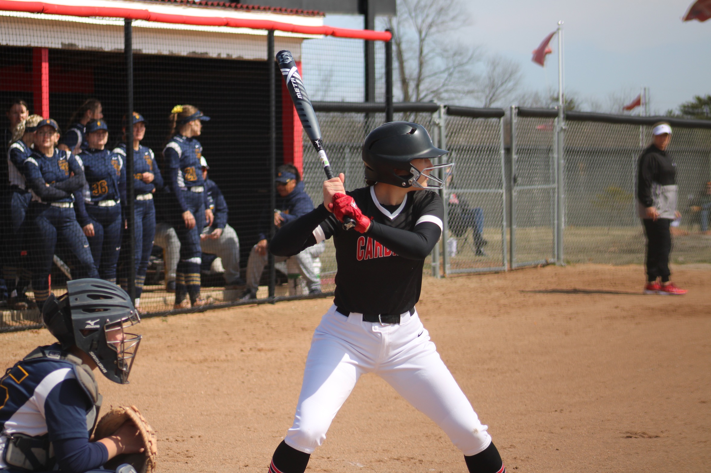Softball sweeps Rochester as they celebrate Senior Day