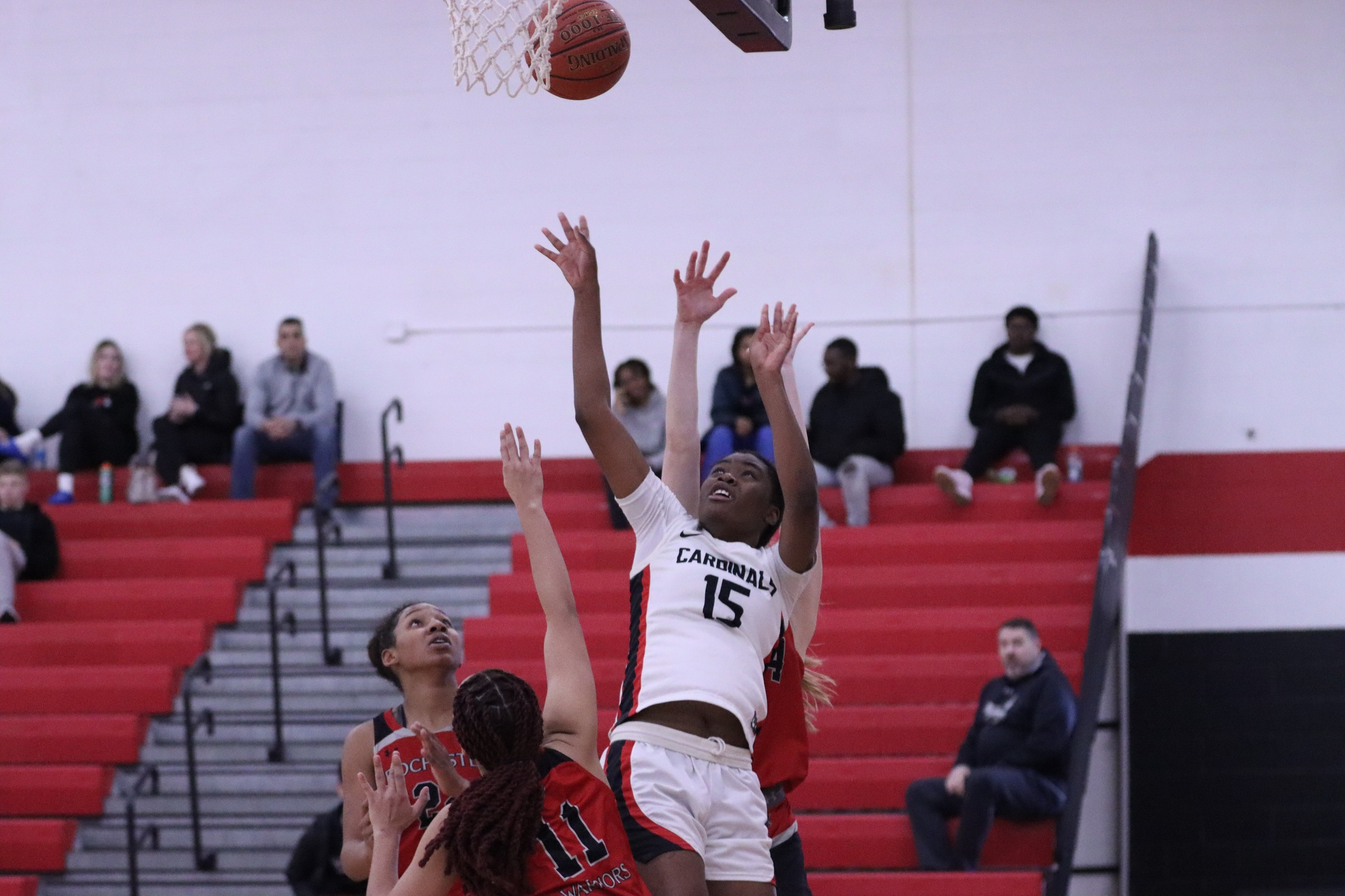 Women's Basketball falls in hard-fought contest against Rochester