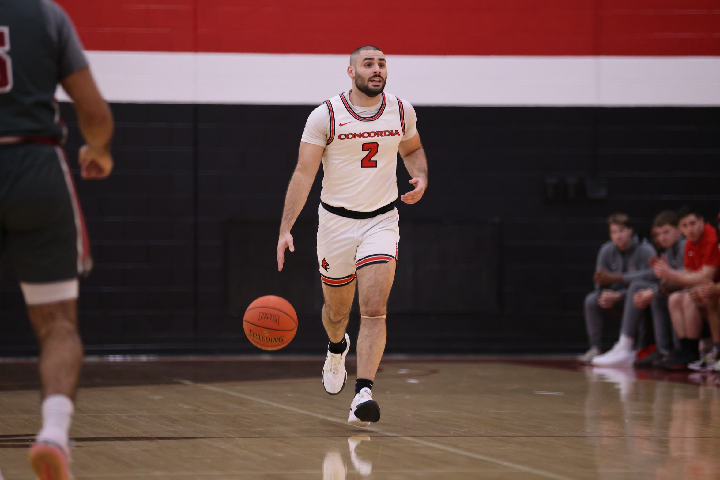 Men's Basketball falls at Rochester Christian
