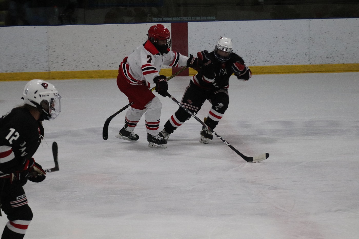 No. 9 Cardinals fall short in season finale to No. 7 Aquinas