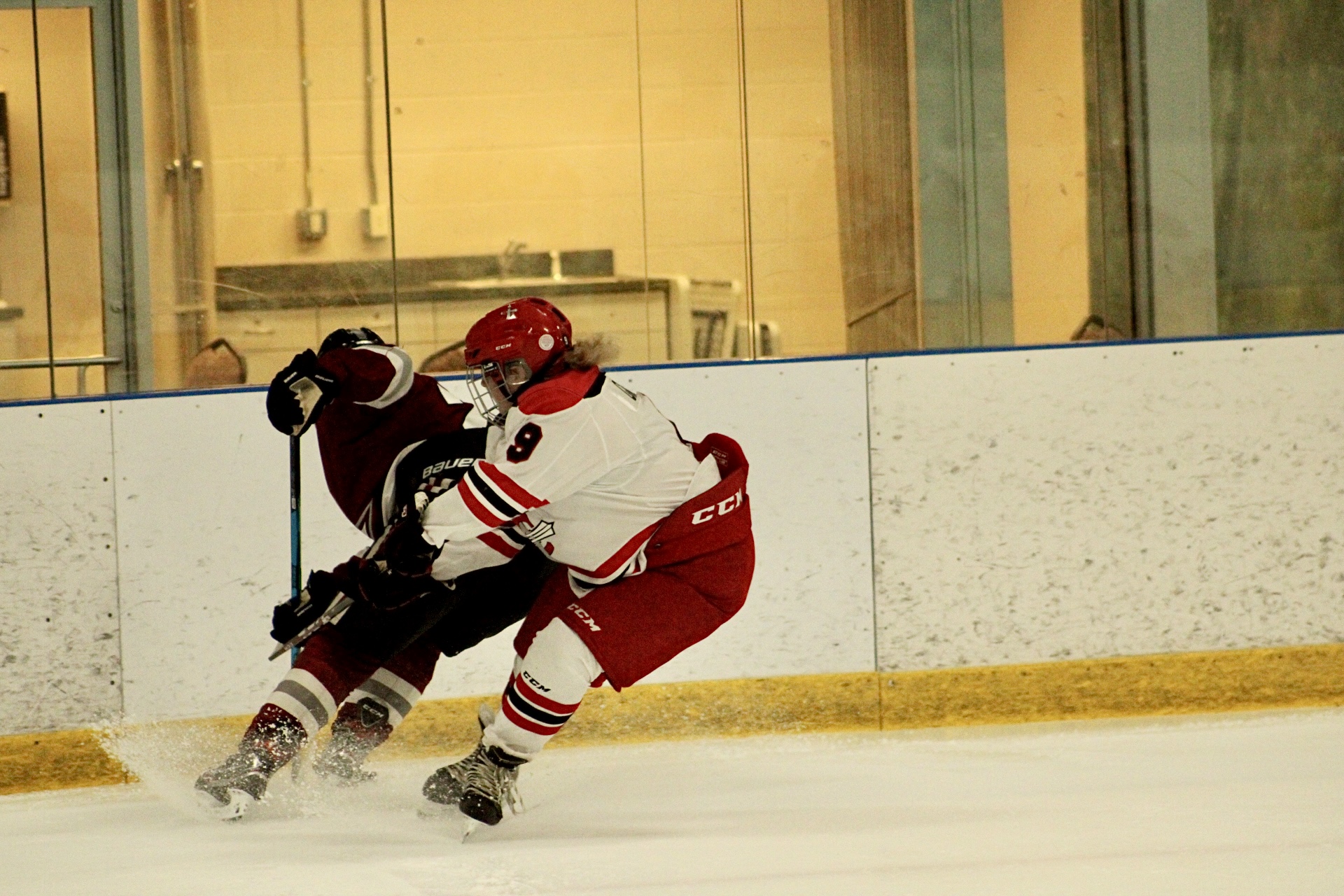 Women's Hockey falls in weekend series to Aquinas