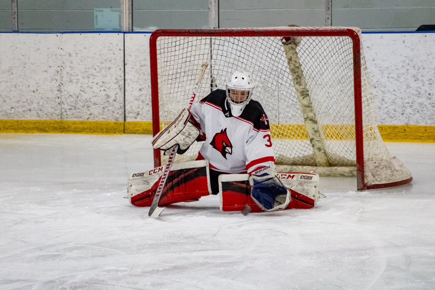 Women's Hockey ties Aquinas in final home game of season