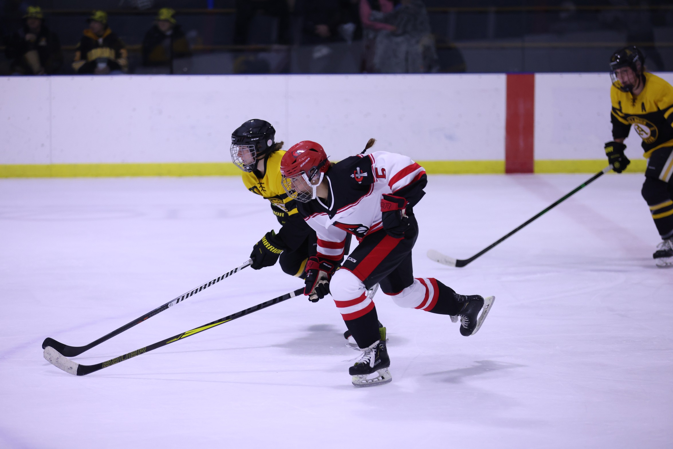 Women's Hockey's late surge comes up short at Adrian