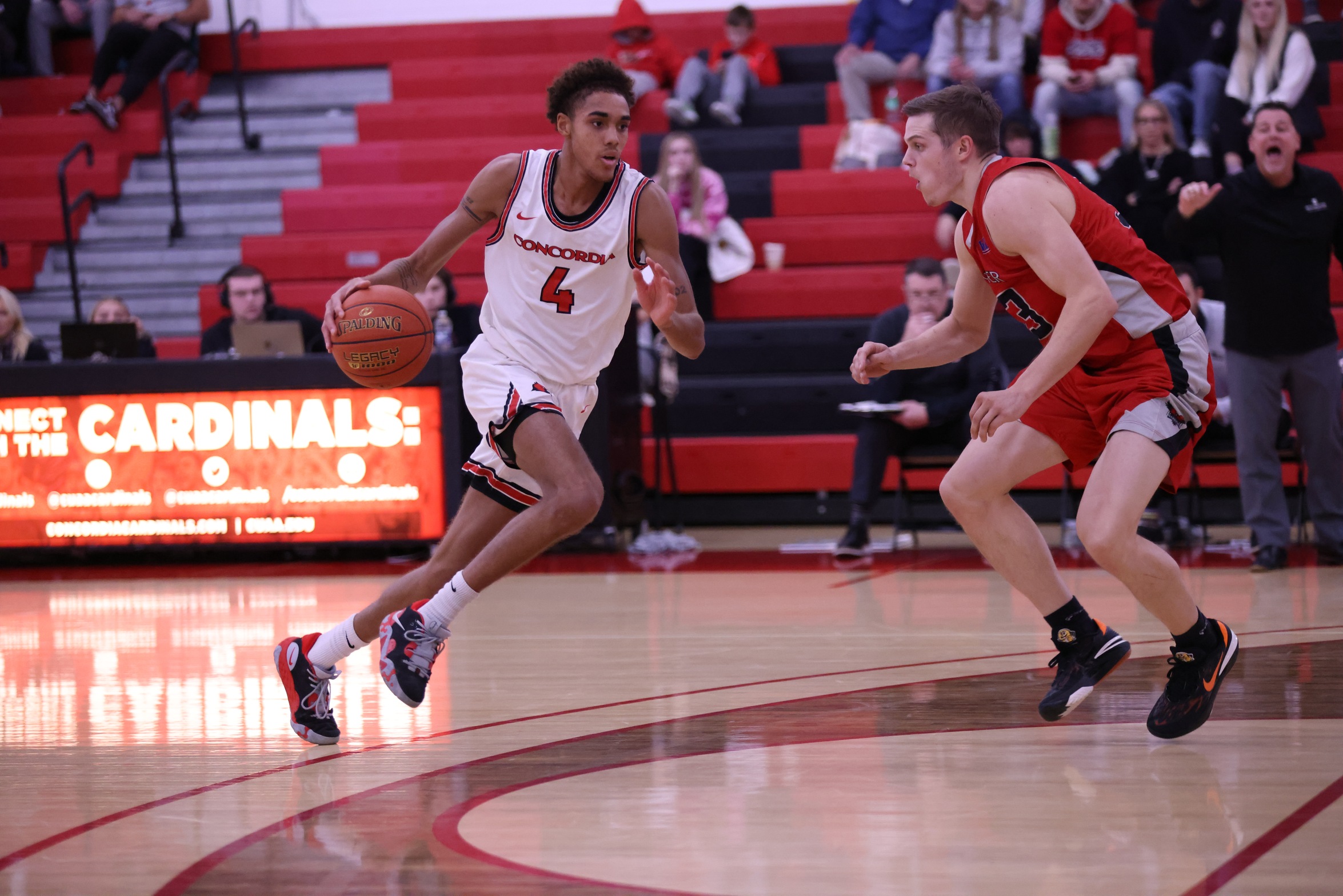 Men's Basketball falls to (RV) Rochester