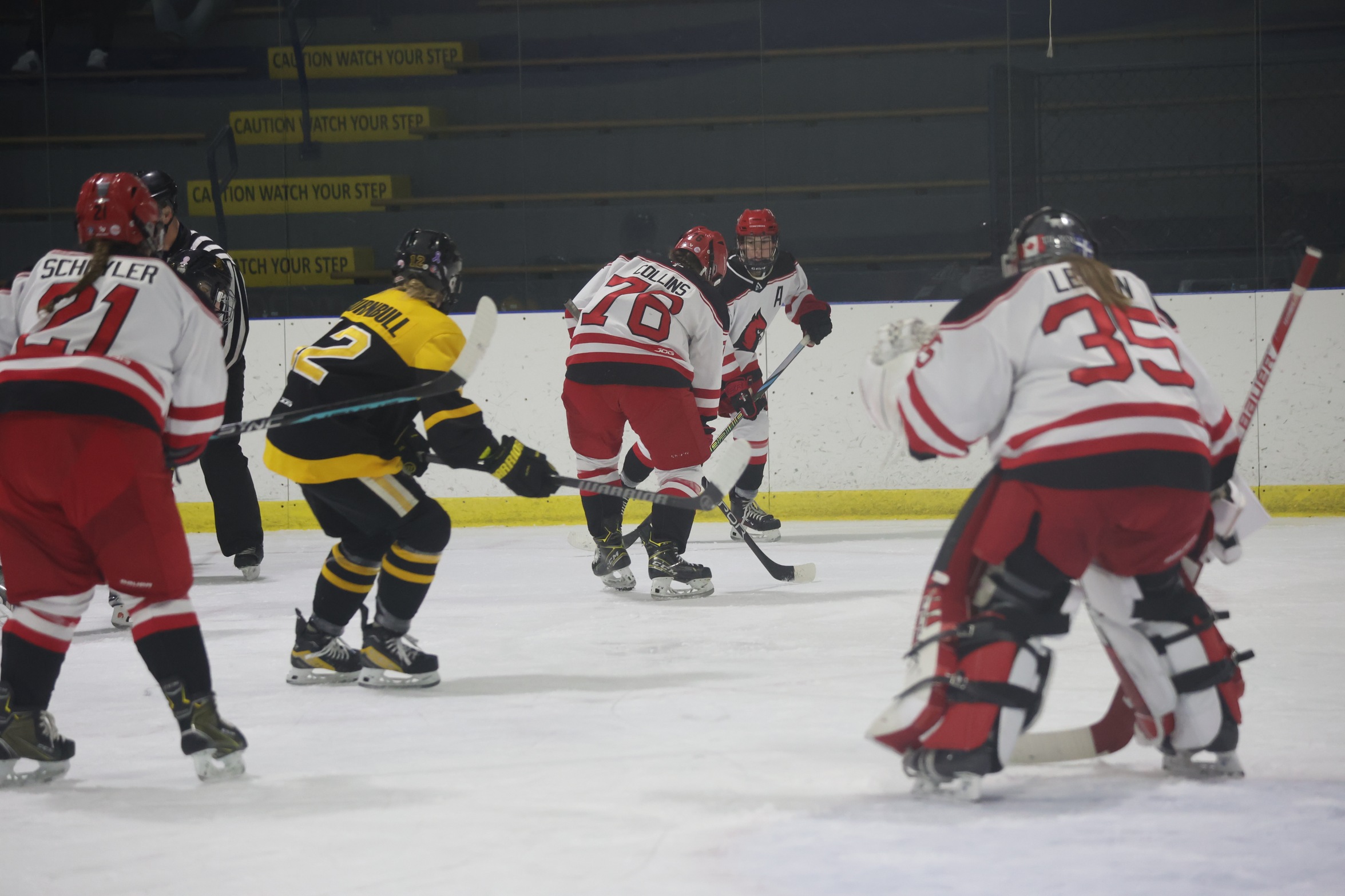 Women's Hockey shuts out Davenport for 6-0 road victory