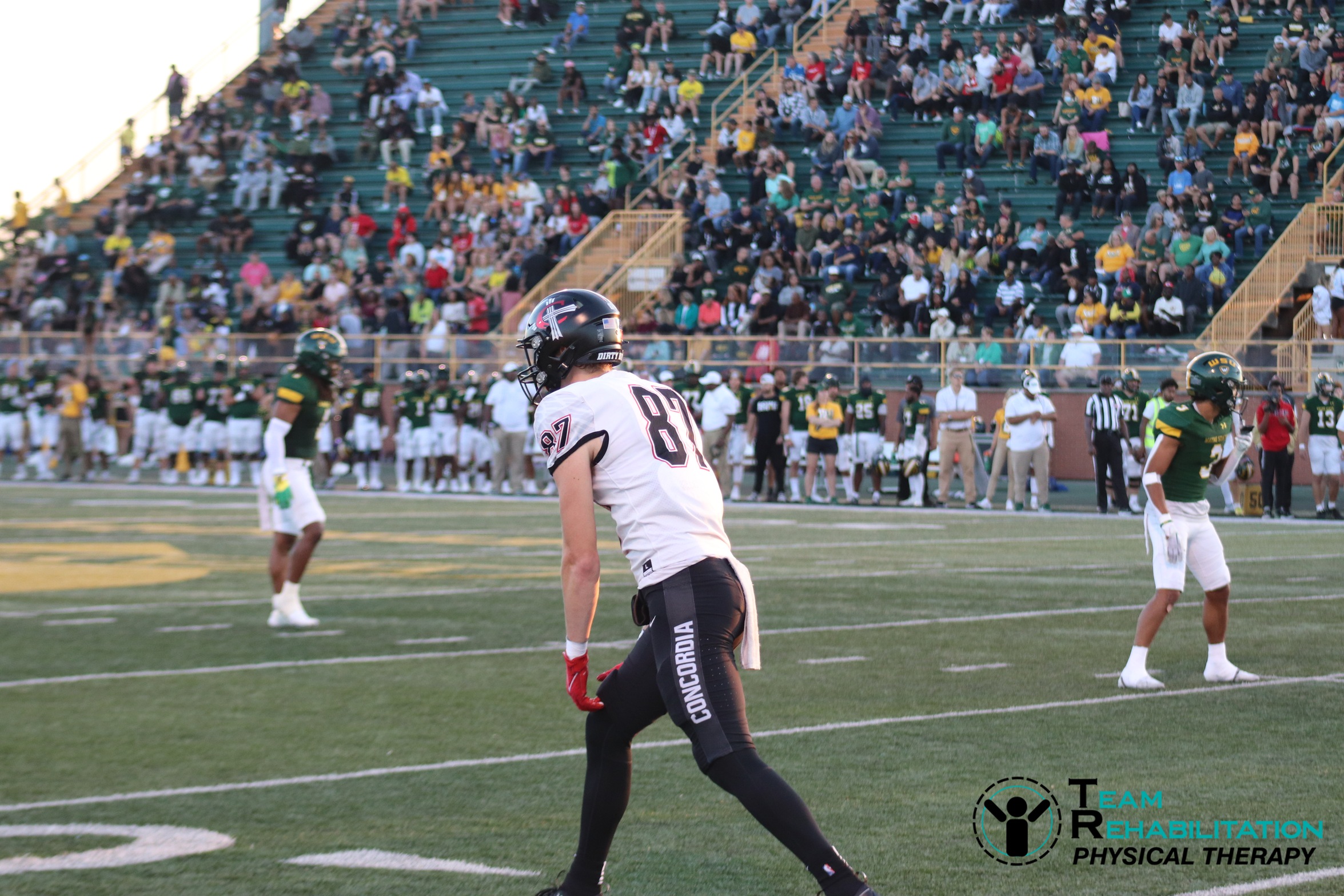 Football survives at LTU in 24-10 victory