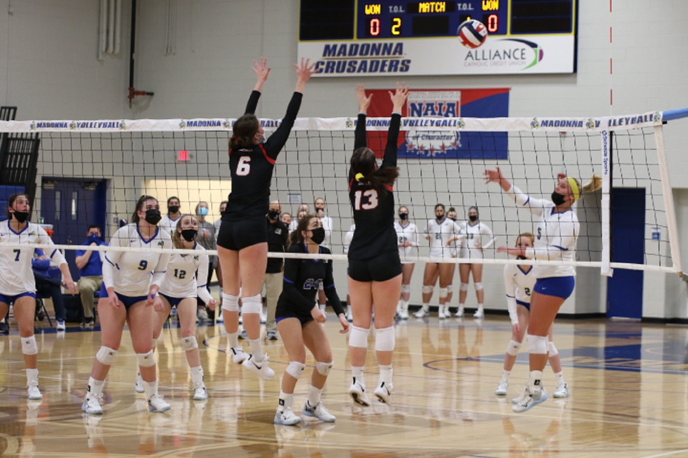 Photo courtesy of Madonna athletics