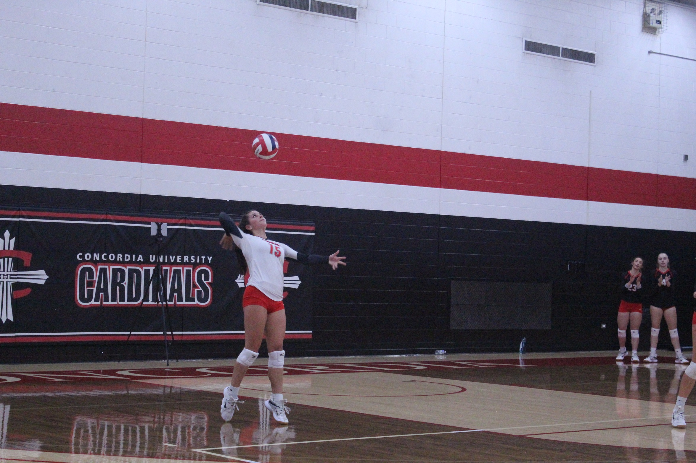 Volleyball falls in four sets to Wolverines
