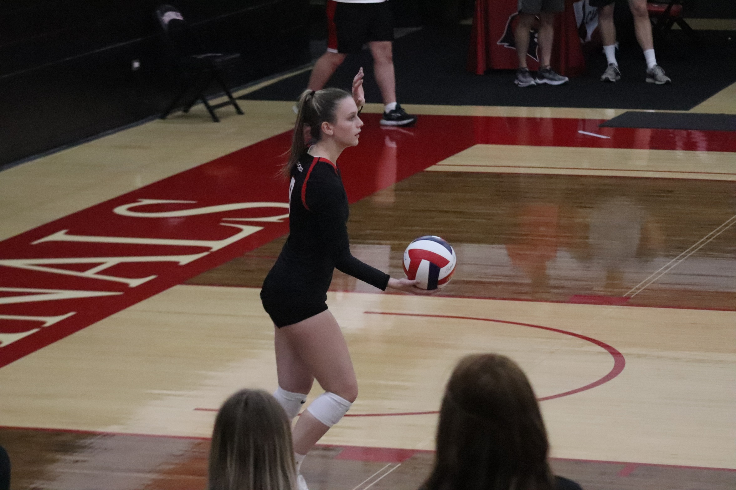 Volleyball wins regular season finale at Rochester in straight sets