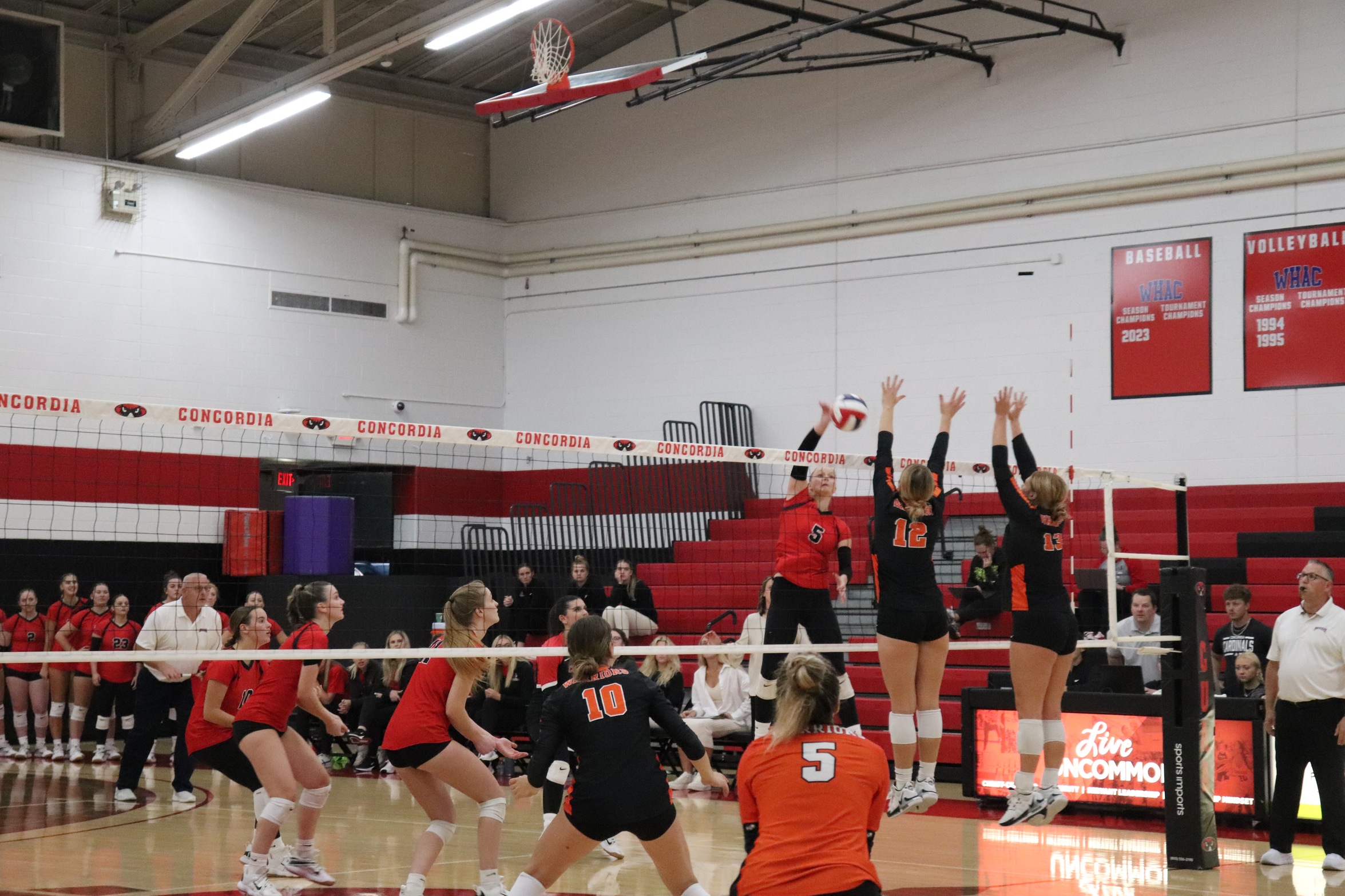 Concordia Falls to Indiana Tech